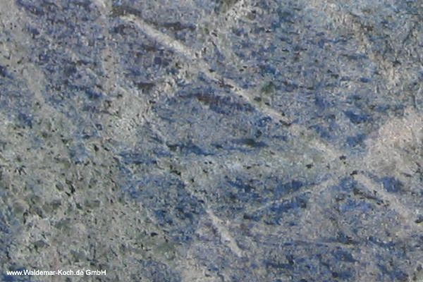 Caribbean Blue
